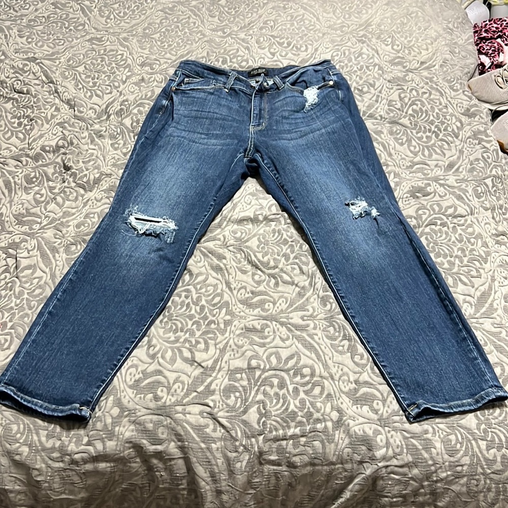 14W Judy Blue Jeans